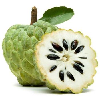 Custard apple from vietnam for export, Vietnamese custard-apple is a tropical fruit with a sweet taste - NGAN HOA PHAT TRADING SERVICE COMPANY LIMITED - Vietnam