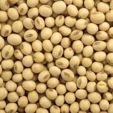 Soybeans Wholesale - AgronoMarket - United States