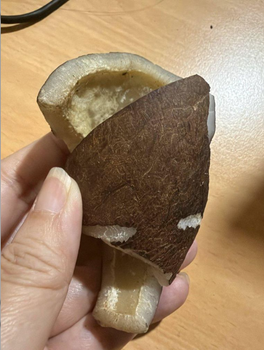 Indonesian Dried Copra – Coconut Kernel for Coconut Oil Extraction | Bulk Export Supplier – product photo, Recommend Fallback