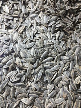 Discount Price Premium Grade Non-GMO Raw Dried Sunflower Seeds Newest Year Crop Bulk - CPW TRADE LTD - United Kingdom