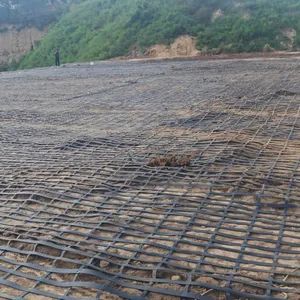 Civil Engineering Glass Fiber Mesh Basalt Reinforcing Fiberglass Geogrid - Zhejiang Dingsheng Security Technology Co., Ltd - China