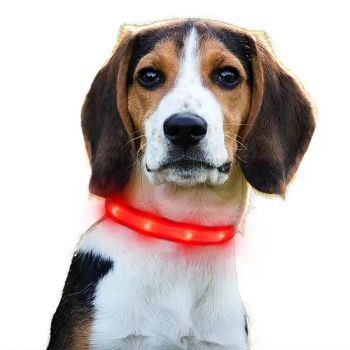 8-Color Optional Fish Silk Ribbon Collar Suitable for Small Dogs USB LED Dog Necklace Walking in The Dark - Shenzhen Qida Technology Co., Limited - China