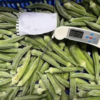 Frozen Okra Type Vacuum Pack Packaging Vietnam New Product Bulk Quantity Wholesales Vegetables IQF 100% OEM Frozen Okra - DAKAGRI CO., LTD - Vietnam
