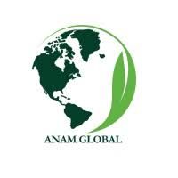 Anam Electronics H.K. Limited