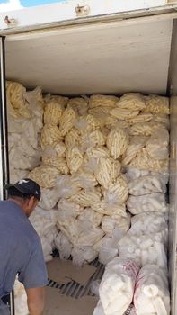 frozen casssava - Hineni Distributor - Australia