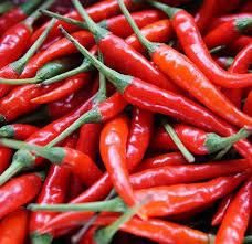 Dried Red Chillies Form Dried And Fresh Origin Kenya And Tanzania - NEO FRESH EXPORTERS LTD - Kenya