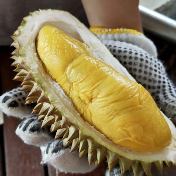 Fresh Durian Premium Mature Fruit With Distinctive Taste And Strong Consumer Preference For Wholesale Fruit Importers - TOSOH INTERNATIONAL - South Africa