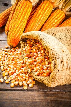 Dry corn - Etswatson - Cameroon