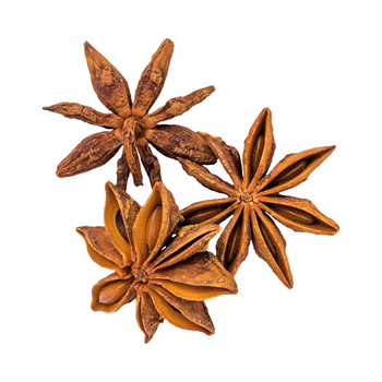 Pure Non-GMO Raw AD Dried Star Anise - TERRAMINER GROUP,INC - United States