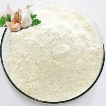 Wholesale Dried Dehydrated Garlic Allicin Powder Garlic Flake 50% CAS 539-86-6 Garlic Extract Flavor Seasoning - Shandong Shengbang Import and Export Co., Ltd. - China