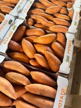 Sweet Potatoes - Sirwa For Agricultural Products - Egypt