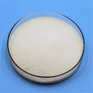 Water Based Drilling Mud Additive Filtrate Reducers Modified Starch for Oilfield - Tianjin Summit Chemical Co., Ltd. - China