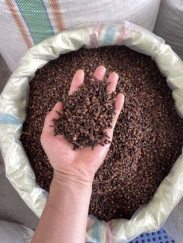 CLOVES - AGRO AFRIQUE COMPANY LIMITED - Tanzania