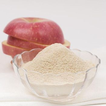 Apple spray dried powder Origin Made In India Storage Temperature 18-24 C Quality Standard Usda Choice Minimum Order Quantity 1000 - Ridhi Shidhi Minerals - India