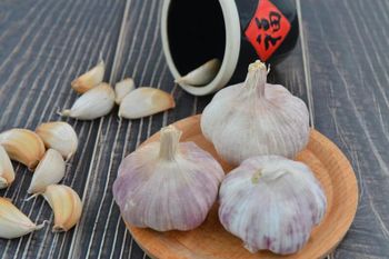 Fresh Garlic / Chinese White Garlic / Pure Natural Garlic for Export – High Quality Supplier from China - Shandong Taifeng Commercial Group Co.,Ltd - China