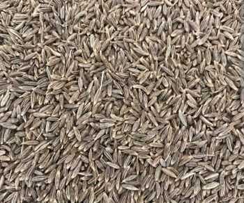 cumin seeds - Mivère India - India
