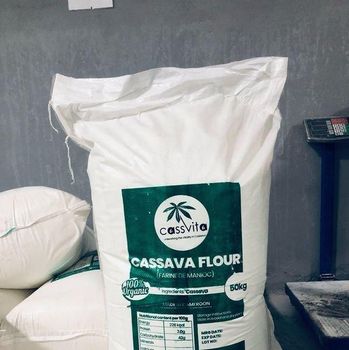 High Quality Food Grade Cassava Flour Origin Nigeria Quality Grade Food Grade Moisture Percentage ≤9.53% Packaging 50kg Food Grade - RAYONS AND ARC GLOBAL LTD - Nigeria