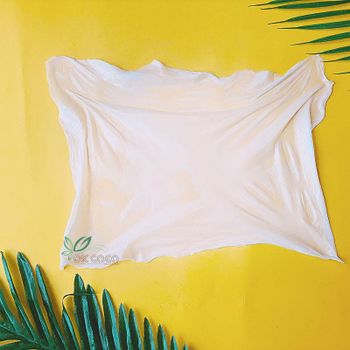 COMPRESSED NATA DE COCO SHEET size 23*33*1 cm (CNAS-10) - Dang Khoa Coconut Company Limited - Vietnam