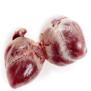 Nutritious Frozen Pork Heart Protein Rich Meat For Global Food Industry And Meat Traders Searching For Frozen Pork Heart Supply from malter group Nutritious Frozen Pork Heart Protein Rich Meat For Global Food Industry And Meat Traders Searching For Frozen Pork Heart Supply - malter group - Tanzania