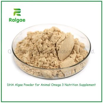 DHA Algae Powder Feed Grade Algae DHA for Animal Nutrition Supplements CAS6217-54-5 - Qingdao Algaenutra Biotech Co., Ltd. - China
