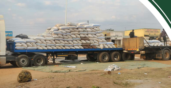 White maize – product photo, Fresh White Maize products found from trusted suppliers, wholesalers, manufacturers & exporters Listing