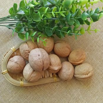 Wholesale Top Raw Walnuts for sale - SAEBYGARD AVLSGARD A/S - Denmark