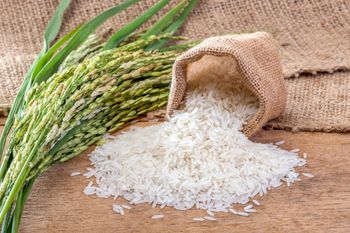 Basmati Rice from ANS Import & Exports Basmati Rice – product photo, Broken Basmati Rice products found from trusted suppliers, wholesalers, manufacturers & exporters Listing