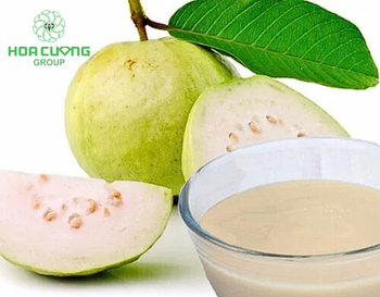 Concentrated Quava Juice Place of Origin Viet - HOA CUONG AGRICULTURAL JSC  - Vietnam