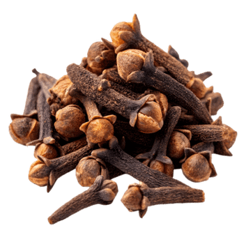 Indonesia Clove: Moisture max 13% Stem max 2% Dust less than 1% Headless max 15% from PT. Christy Sejahtera Indonesia Clove: Moisture max 13% Stem max 2% Dust less than 1% Headless max 15% - PT. Christy Sejahtera - Indonesia