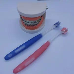 Orthodontic U Shape Toothbrush Orthodontic Toothbrush Orthodontic Steel Braces Toothbrush - Tianjin Spider Impex Co., Ltd. - China