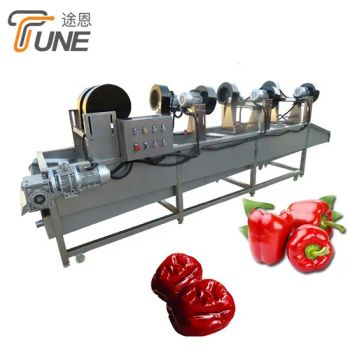 Multifunctional Fruit Vegetable Washing and Drying Machines Power 1.5KW Weight 800kg Trademark TUNE Warranty 1 Year Model NO. - Qingdao Tune Machinery Co., Ltd. - China