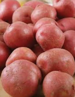 New Crop Potato Fresh Normal Potato Wholesale Fresh Potato.Customize Fresh Potato Chips Production Line - Almaa SCS - Belgium