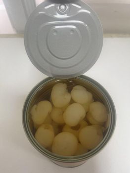Cheap price 20oz canned Longan broken 2025 with Halal certification - VIETEX AGRI  TRADING CO  LTD - Vietnam