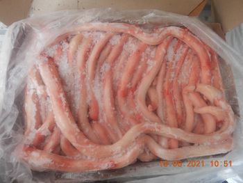High Grade Halal Frozen Beef Pizzle at Competitive Prices from Mutlu Et Mustafa High Grade Halal Frozen Beef Pizzle at Competitive Prices - Mutlu Et Mustafa - France