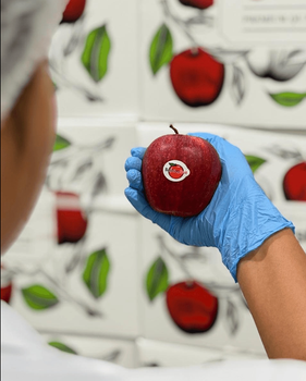 BEST RED APPLES BRAND WITH SWEET JUICY PROFILE BASSTION 13Kg FRESH RED APPLES - Sosa Merchant Solutions - Austria