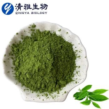 Hot Sale USP/Ep Matcha Green Tea Powder Organic Matcha Tea Powder Matcha - Shaanxi Qingya Biotechnology Co., LTD - China