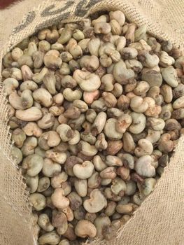 Raw Cashew Nut Origin Guinea Organic Export grade W320 Moisture 8-9% Nut count 180-200/kg - Mohamed Lamine - Guinea
