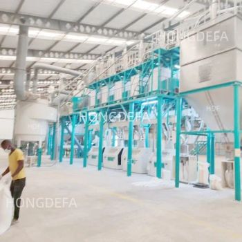 Grain Wheat Maize Corn Meal Flour Mill Machine Milling Plant Complete Line - Shijiazhuang Hongdefa Machinery Co., Ltd. - China