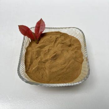 Produce Snf Powder Sodium Naphthalene Sulfonate High Efficiency Water Reducing Agent for Concrete Admixtures - Shandong Xishui Building Materials Co., Ltd - China