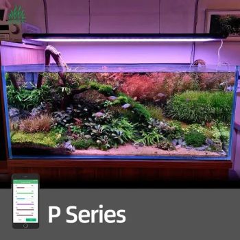 Weekaqua Indoor Freshwater Fish Tank Plant Growth LED Aquarium Light - Bests Industrial and Trading Co., Ltd - China