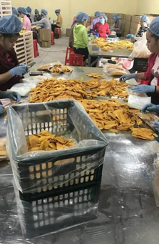 Dried Persimmon Texture Chewy Flavor Sweet With Natural Sweetness Processing Method Hand-selected And Slowly Dried Intended Use Snacking, Baking, Or Adding To Meals - 99 GOLD DATA - Vietnam