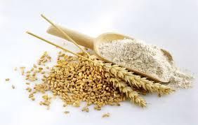 Premium Wheat Flour Grade A Type - TRADE NEPAL LLC - United States