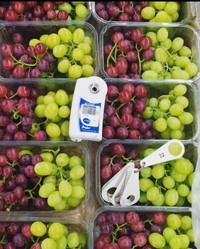 fresh grapes – product photo, Fresh Crimson Grapes products found from trusted suppliers, wholesalers, manufacturers & exporters Listing