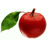 Product – product photo, Dried Apple Powder products found from trusted suppliers, wholesalers, manufacturers & exporters Listing