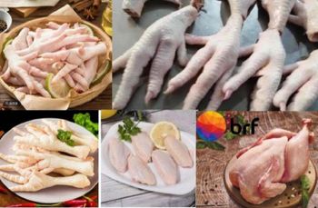 Meat & Poultry - Inox Impex  - India