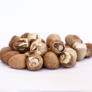 Whole Kernel Betel Nuts Available With Authentic Origin And Clean Processing For Global Importers from malter group Whole Kernel Betel Nuts Available With Authentic Origin And Clean Processing For Global Importers - malter group - Tanzania