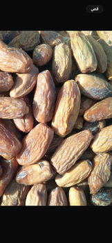 Dry Deglet Noor dates (with pits) - KIBo - Algeria