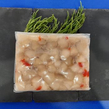 Premium Seafood Frozen Queen Scallops Cleaned Fresh Tender Juicy Natural Sweet Taste Ideal for Hotels Restaurants and Catering Supply - PILOTEXPORT IMPORT AND EXPORT LTD - South Africa