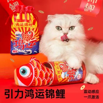 Pet Toy Electric Koi Cat Fish Toy Mint Cat Products - Grandfox Co., Ltd - China
