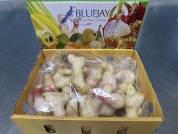 Galangal Type Galangal Form Fresh Root Packaging Card Tray Flavor Profile Earthy, Piney Certifications Gap, Haccp, Sedex, Gmp - Blue Jay Oriental Foods Thailand Ltd - United Kingdom